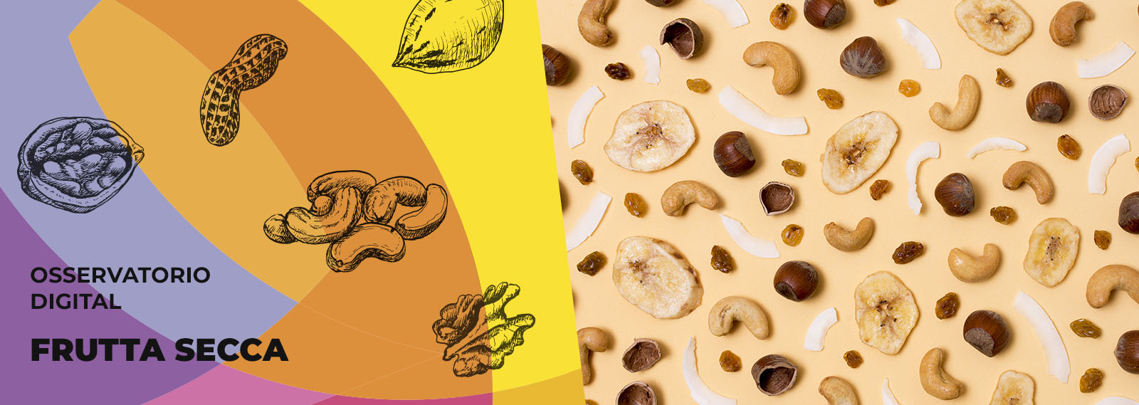 Soluzione Group Osservatorio FRUTTA SECCA